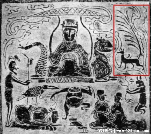 九尾狐的来历，山海经中的上古瑞兽(汉唐以后才被妖魔化)