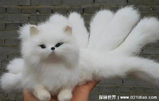 九尾狐的来历,山海经中的上古瑞兽(汉唐以后才被妖魔化)
