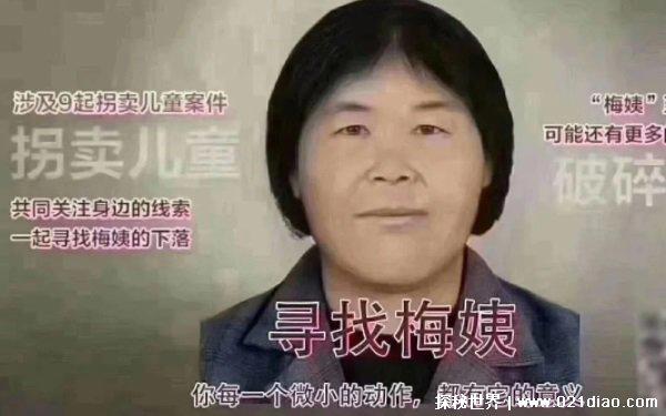 梅姨还活着吗,至今下落不明(梅姨有多恐怖)