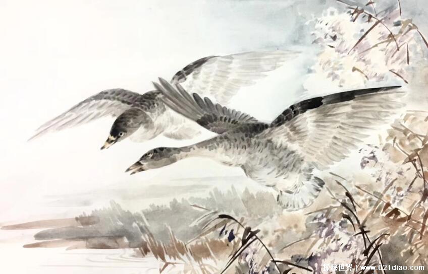 正是河豚欲上时的欲是什么意思，意为正要想要(出自苏轼的诗)