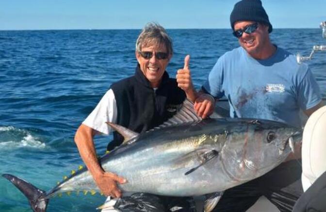 世界上最大的鱼排行，鲸鲨最大(长12米/重21吨)