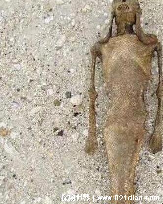 女娲吓人真身尸骨图片，人首蛇身古尸被发现(神秘仪式导致)