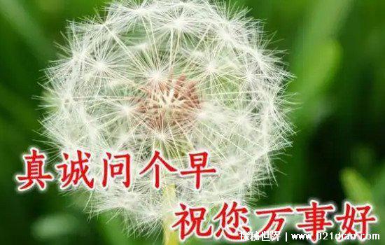 清明前后不问早上好图片，用图片代替语言表达最真挚的问候