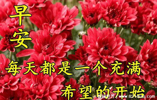 清明前后不问早上好图片，用图片代替语言表达最真挚的问候