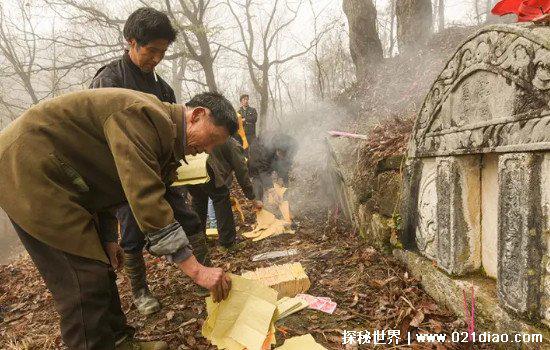 清明前后不问早上好图片,用图片代替语言表达最真挚的问候