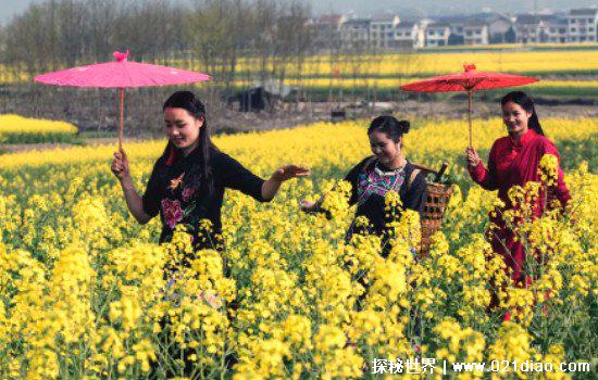 清明前后不问早上好图片,用图片代替语言表达最真挚的问候