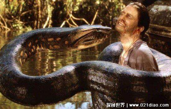 一亿个头的蛇长什么样子真实存在吗，不存在(但是有两头蛇)