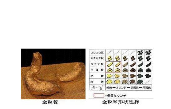 日本金粒餐是真的吗，用少女屎为原料制作的食物(是谣言)