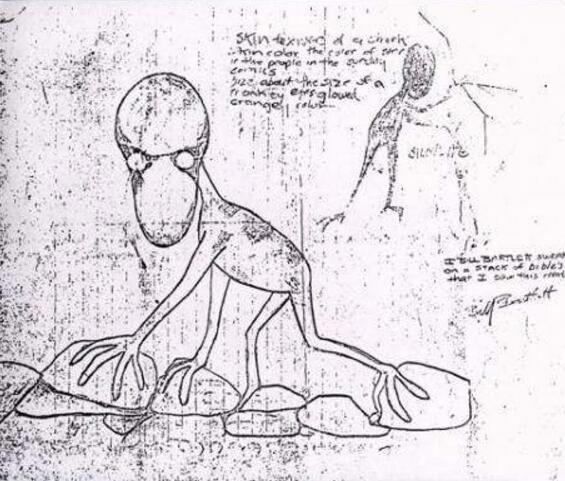 美国多佛恶魔，疑似外星生物(头大如斗眼睛为橙色)