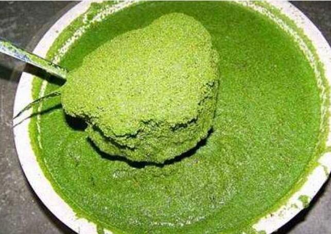 世界上最小的花是什么花，只有2毫米的无根萍(肉眼根本看不见)