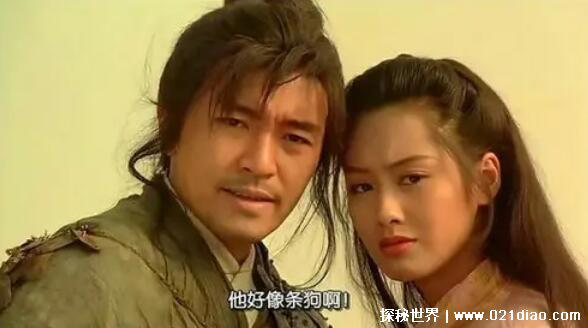 撒狗粮是什么意思犯法吗要坐牢几年，公开秀恩爱(不犯法不坐牢)