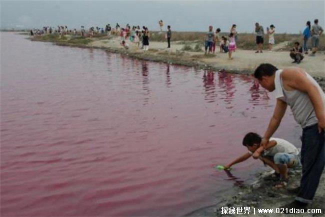 世界上最浪漫的湖泊 塞内加尔的玫瑰湖(粉红色湖面)