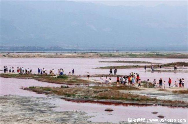 世界上最浪漫的湖泊 塞内加尔的玫瑰湖(粉红色湖面)