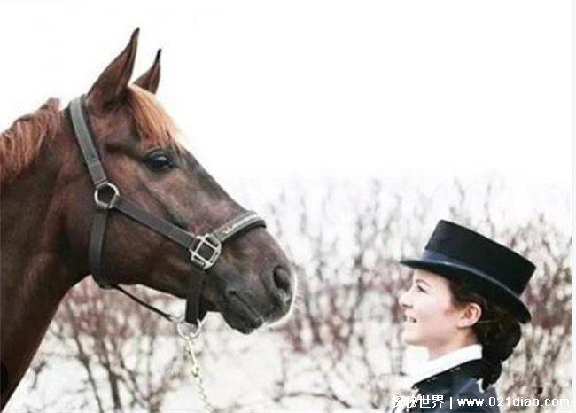 全球最年轻亿万富翁，亚历山大·安德烈森(有12亿美元)