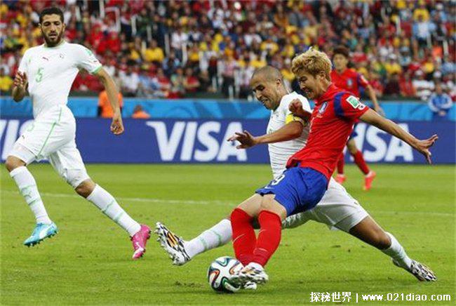 韩男足与总统夫妇共进晚餐（12月8日）