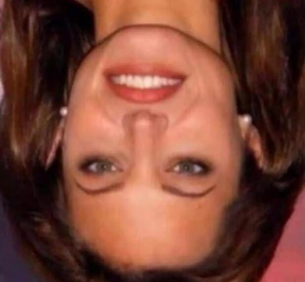 一张图倒过来看吓死人，其实没有那么可怕(只是一种错觉而已)