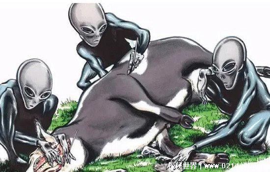 嫦娥二号拍到外星人跑，还发出信号警告人类(假的不可信)