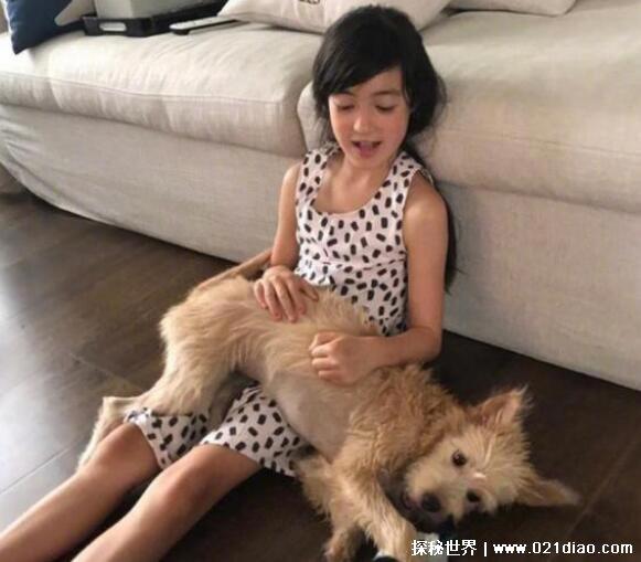 最漂亮的混血小女孩，中加混血儿夏天(参加爸爸去哪儿而走红)