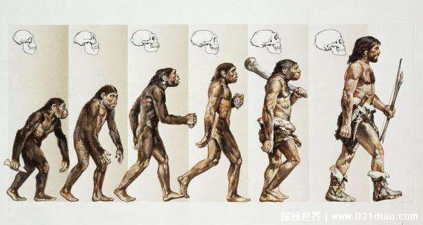 世界上第一个死亡的人是谁，盘古or亚当(图片揭秘)