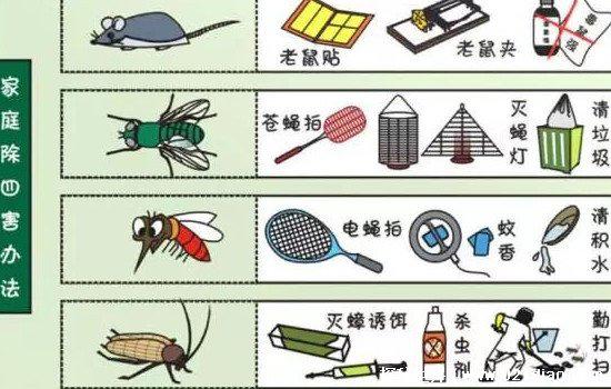 四害是指哪4种,苍蝇/蚊子/老鼠/蟑螂(麻雀曾经也是四害之一)
