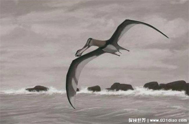 泽西恶魔存在吗 美国泽西恶魔事件常有发生(神秘生物)