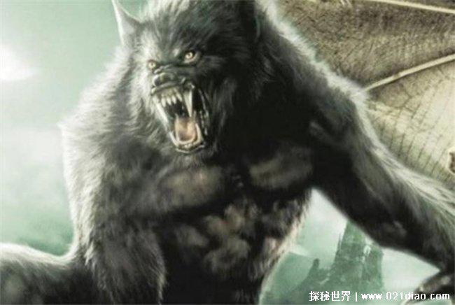 世界上有狼人吗，没有(传说谣言)