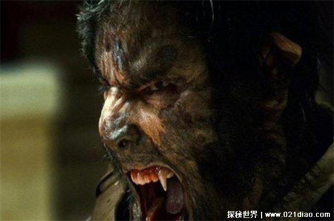 世界上有狼人吗，没有(传说谣言)