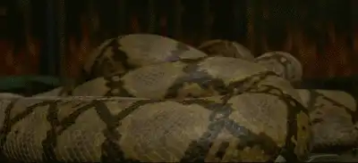 伏地魔的七个魂器分别是什么怎么毁的，哈利竟然也是魂器