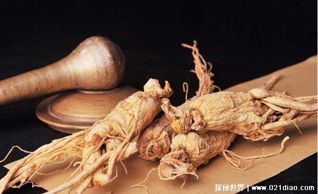 世界上最老的人参有多少年，活了200多年(重达600多克)