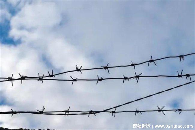 湖北一女子被判十年半却从未入狱　纸面服刑 (监外执行)