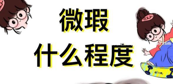 微瑕全瑕什么意思网络用语，出售物品时形容缺点(不限损坏程度)
