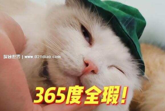 微瑕全瑕什么意思网络用语，出售物品时形容缺点(不限损坏程度)