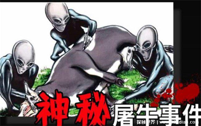 屠牛事件，母牛突然死在遥远山谷(外星人所杀)