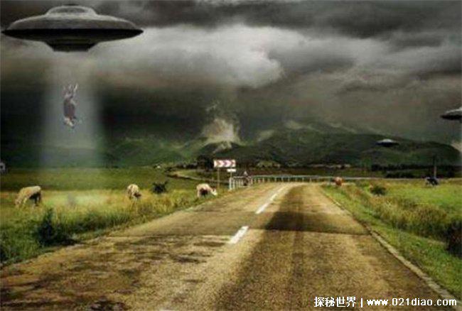 屠牛事件，母牛突然死在遥远山谷(外星人所杀)