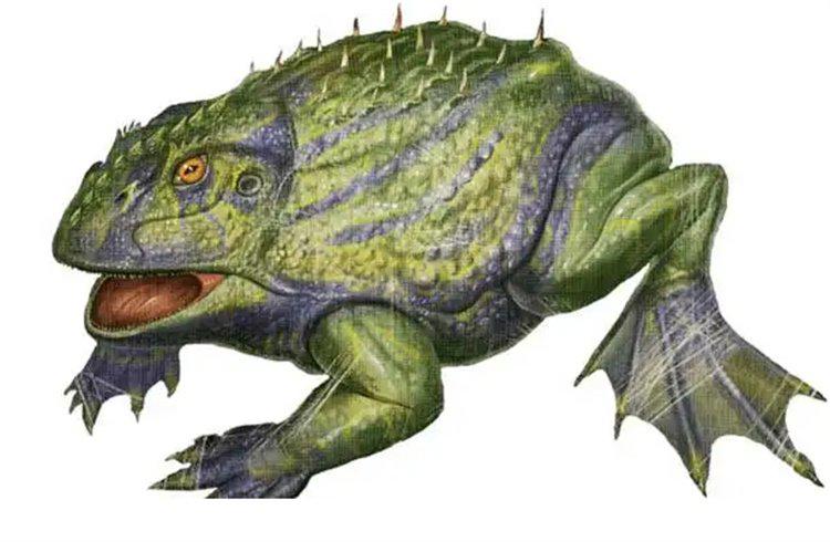 魔鬼蛙生活在多少万年前?(魔鬼蛙生活在7000万年前)