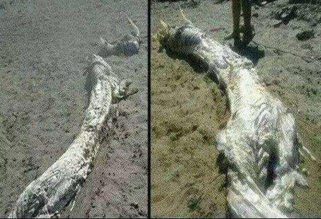 中国十大灵异事件盘点,很多都是以讹传讹(一个有科学解释)