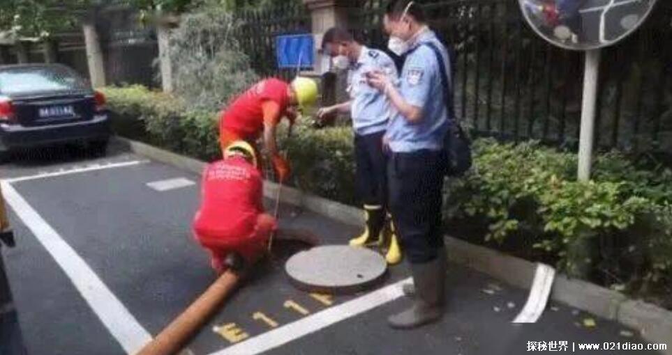 杭州女子失踪案终于水落石出，怎么突然被分尸(分房问题导致)