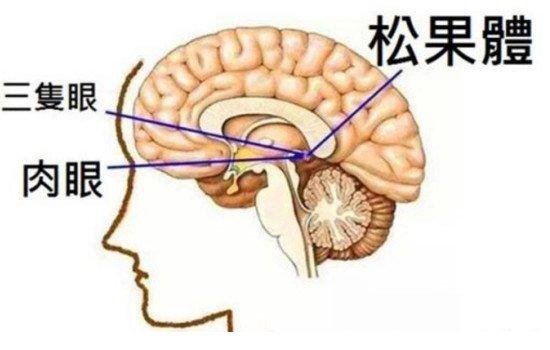 世界上有三只眼的人吗，有(一印度小孩被科学家认为有第三只眼)