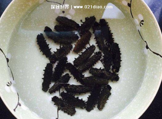 干海参的泡制方法,8步正确简单的家常做法