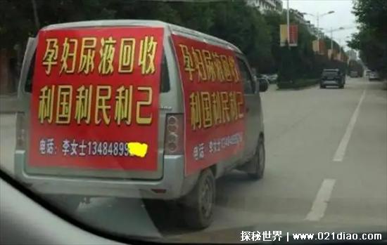 孕妇尿回收是干什么用的,验孕试纸还可以制药(网传12元每公斤)