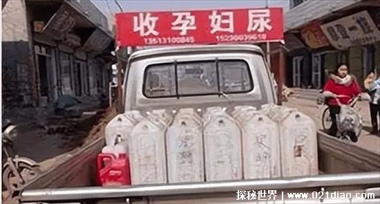 孕妇尿回收是干什么用的,验孕试纸还可以制药(网传12元每公斤)