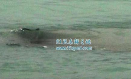 世界十大恐怖水怪,中国四大水怪纷纷上榜