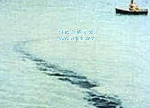 世界十大恐怖水怪,中国四大水怪纷纷上榜