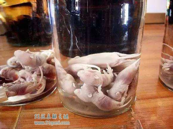 全球最恶心最奇葩的十大食物 重口味食品你敢吃几种?