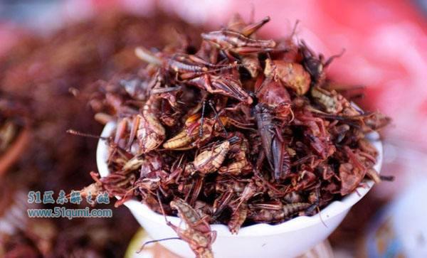 全球最恶心最奇葩的十大食物 重口味食品你敢吃几种?