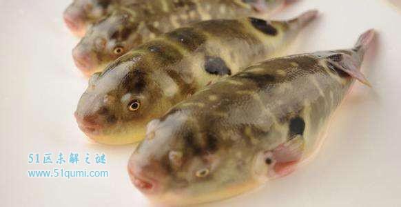 全球最恶心最奇葩的十大食物 重口味食品你敢吃几种?