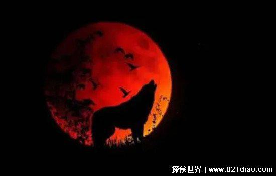 血月是什么意思出现意味着什么，据说是凶兆(实为自然现象)