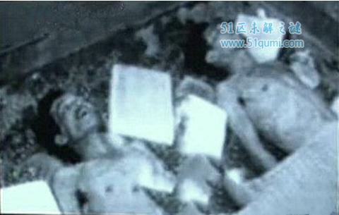 让人闻风丧胆的东北二王事件都发生了什么呢？