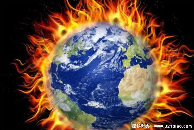 全球变暖的罪魁祸首，樽海鞘 (一般生活在南大洋)