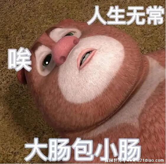 人生无常大肠包小肠是什么意思梗,不可预知的剧情反转(表尴尬)